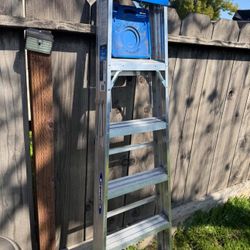 Werner 6ft Ladder