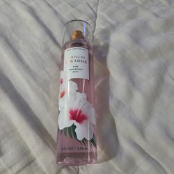 Hibiscus Paradise 