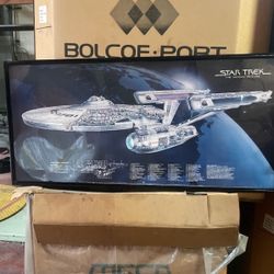 Star Trek Print Large