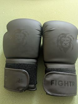 Fightr Boxing Gloves
