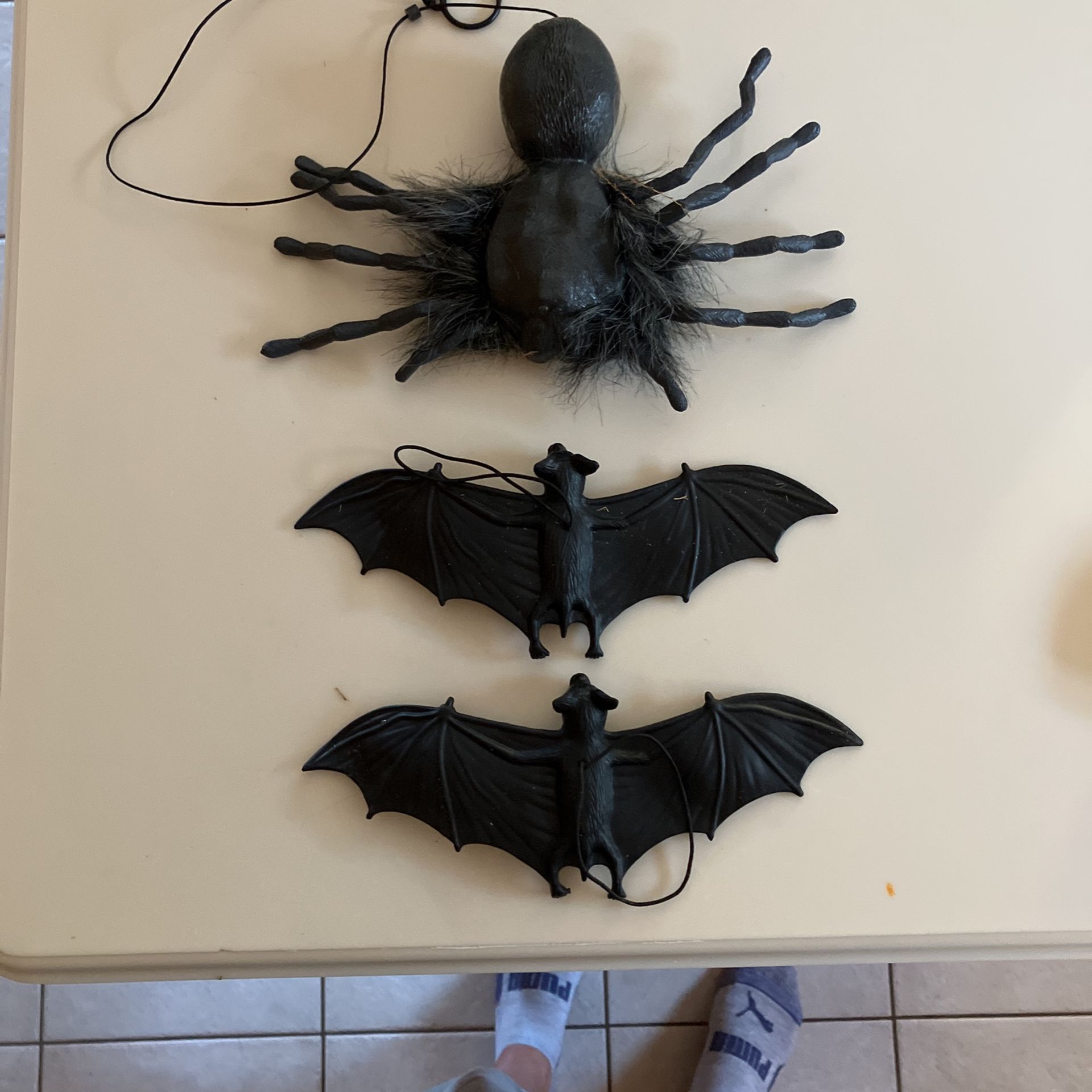 Halloween Decor-bats & Spider