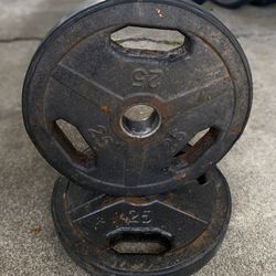 25lb Plates for Barbell - Pair Of 2
