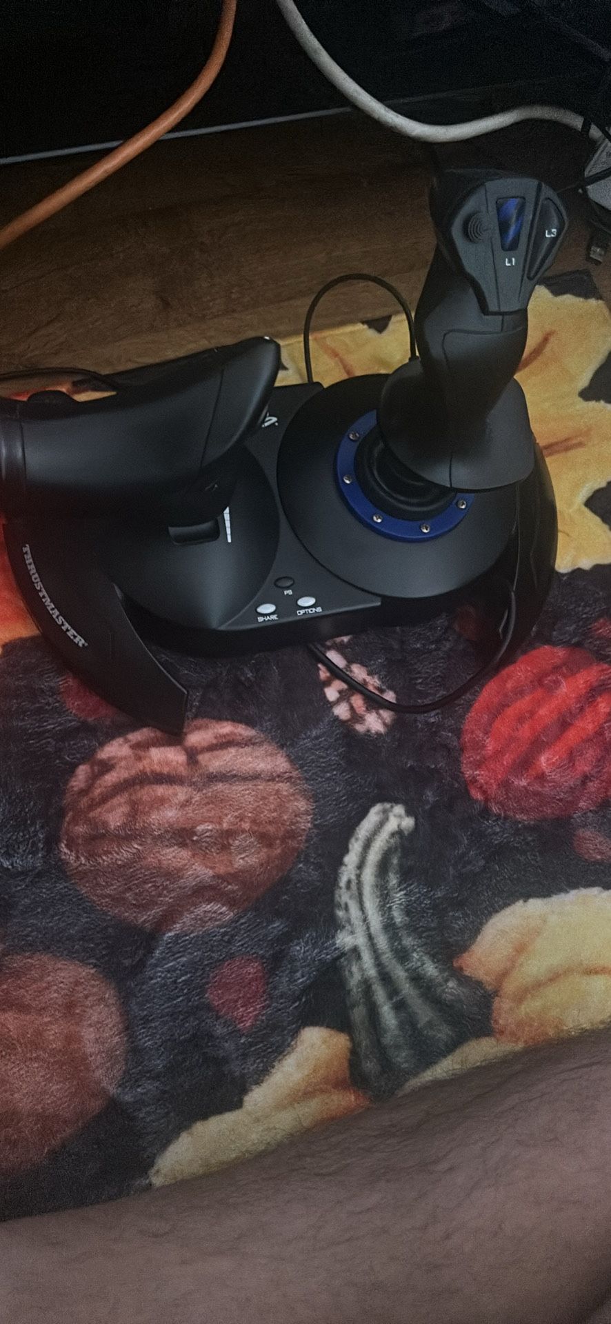 PS4 simulator flight