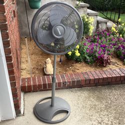Preowned Lasko Gray Pedestal Floor Fan Adjustable Height 3 Speeds Non-Oscillating 