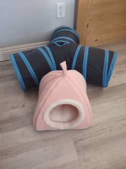 New cat bed and tunnel set.