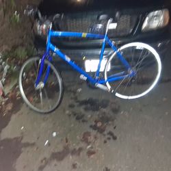 XL FRAME SCHWINN BIKE 