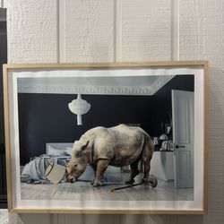 Wonderwall Studio Wall Art 30x40 Rhino