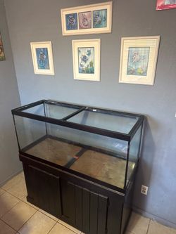 Fish tank for sale
