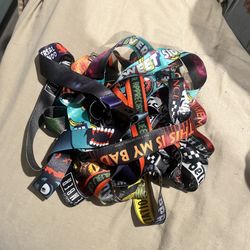 Universal Studios Lanyards