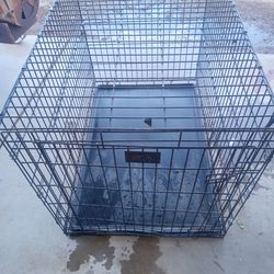 Large dog cage