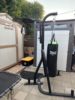 Punching bags and stand