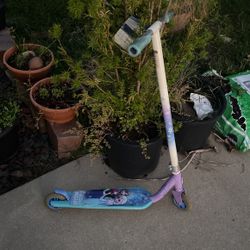 Scooter 