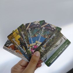 Busch Garden Tickets (6)