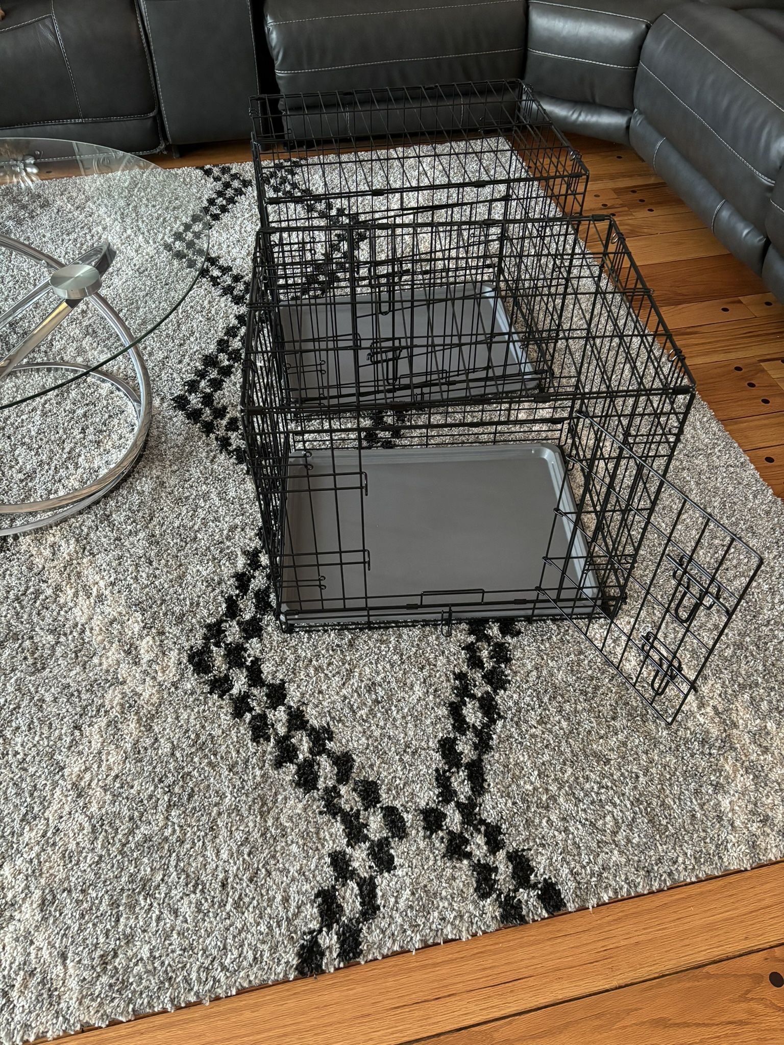 dogs cage