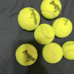 $7 Dog Toys Tennis Balls