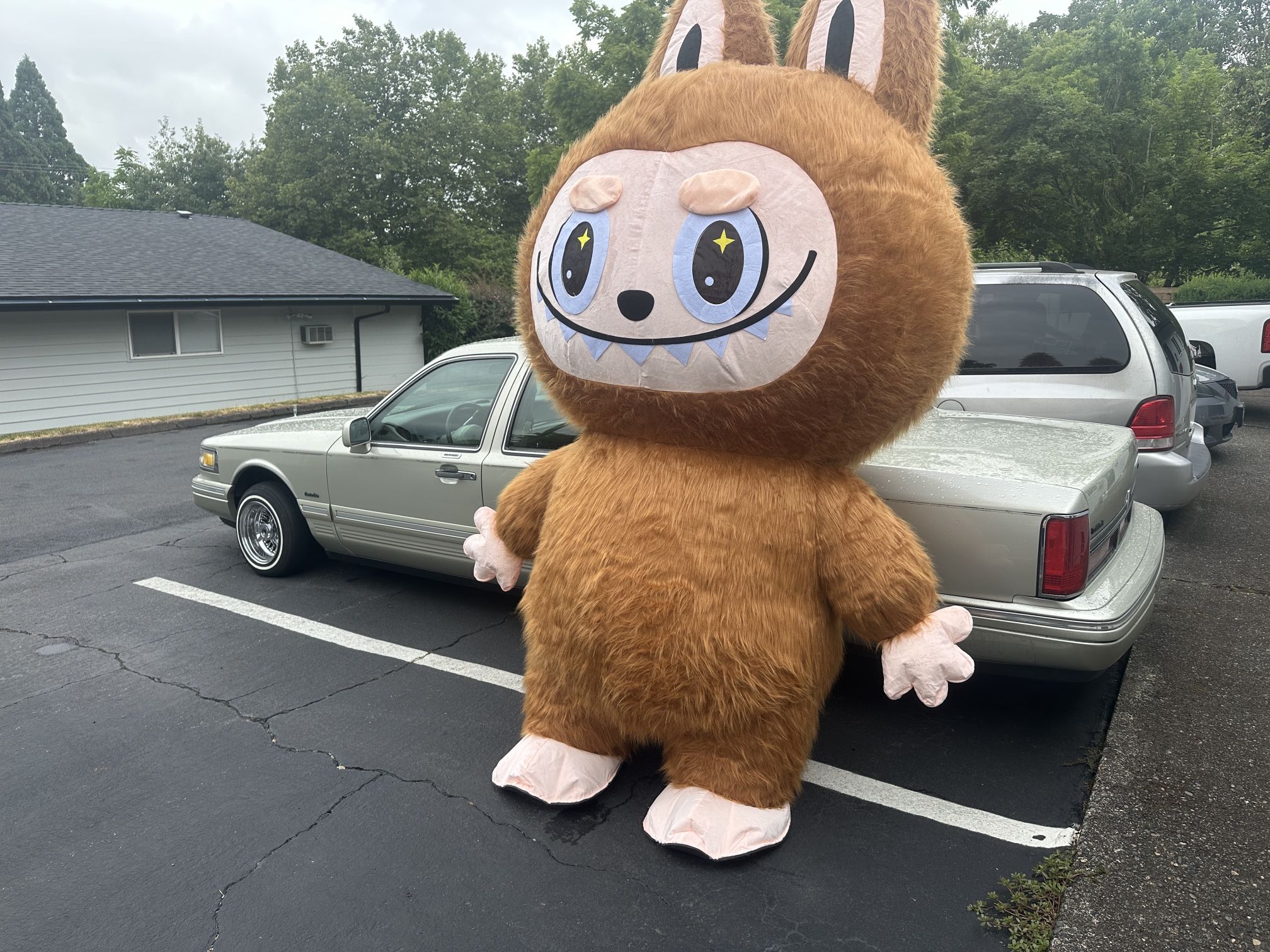 Labubu Blow Up Mascot For Higher