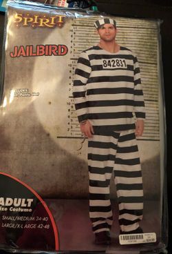 Adult jailbird costume