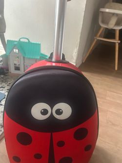 Scooter luggage