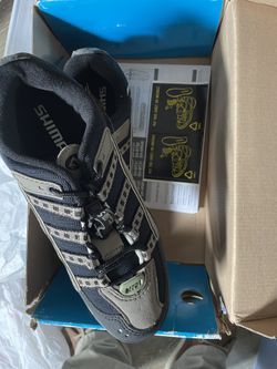Shoe