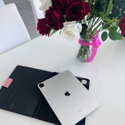 iPad Pro And Case 