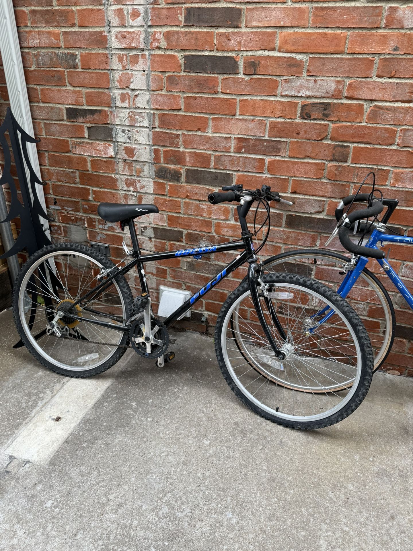 Adult Bicycles
