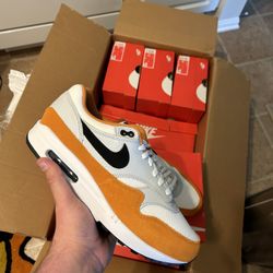 Nike Air Max “Monarch”