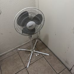 Abanico Seminuevo En 25 Dolares 