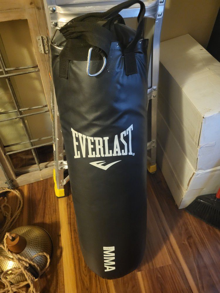 Everlast Punching Bag _ Can Deliver Close To Gresham/Portland 