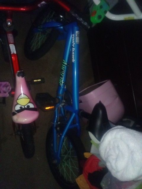 Duosonic Tony Hawk Bike