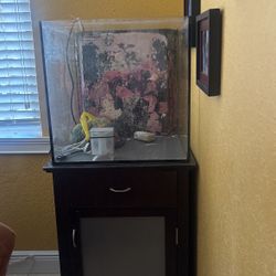 Current All In One 30 gallon Fish Tank