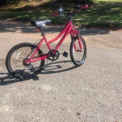 Girls 20" Bicycle For Sale 