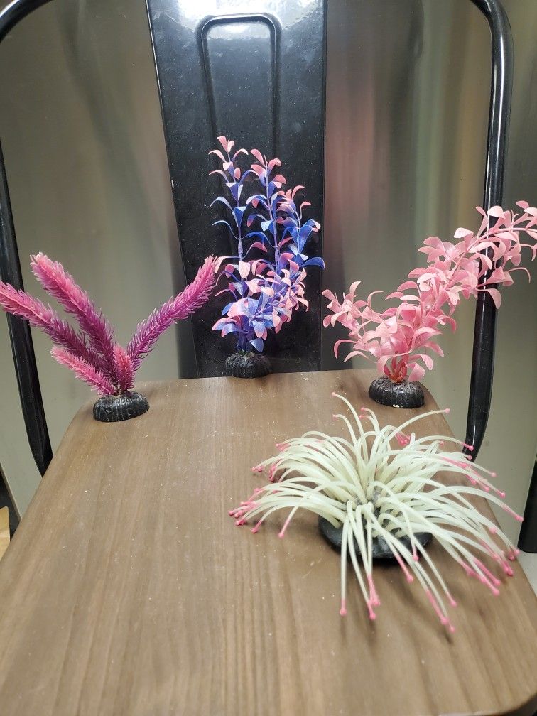 Aquarium Decoration