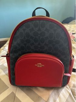 Coach purse/bag