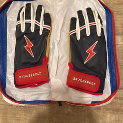 Bruce Bolt patriot Series Gloves