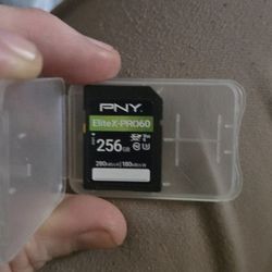 Pny 256g 4k Video Recording SD Card