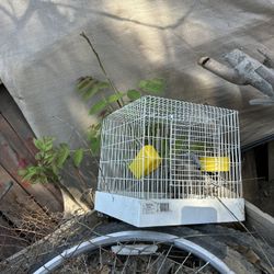 Jaulas Para Conejos Y Pájaros 