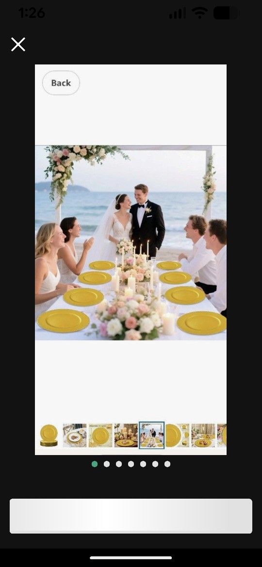 Charger Plates For Wedding/ Parties