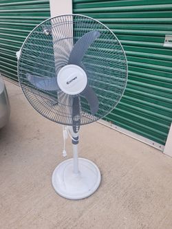 Pedestal fan
