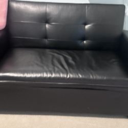 Loveseat Couch With Pull Out Twin Bed