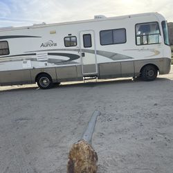 RV 34 Pies Color Blanco 