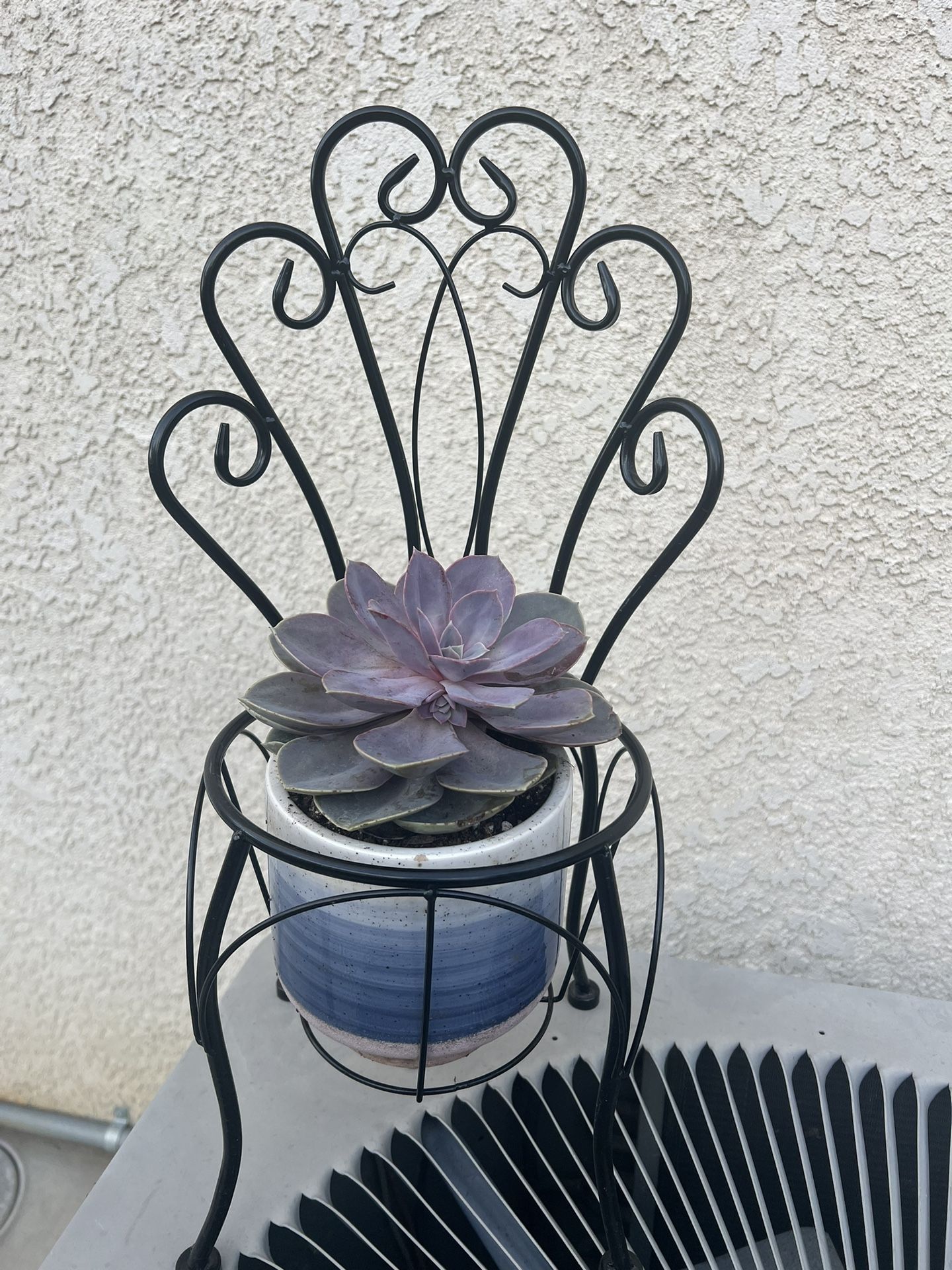 Metal Bicycle And Succulent Planter