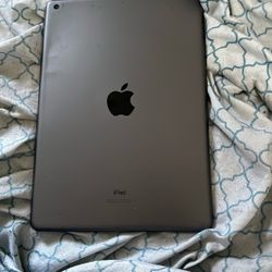 iPad 9th Gen 256 GB