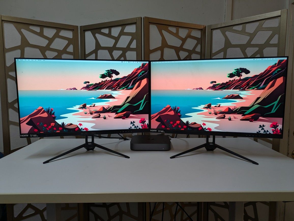 Dual 1080p / 165Hz Gaming Monitors