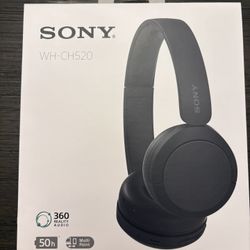 SONY  WH-CH520 