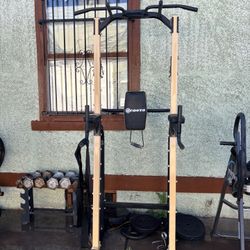 Pull Up And Dip Rack 