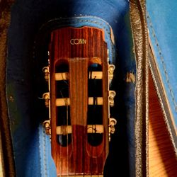 Acoustic Guitar 