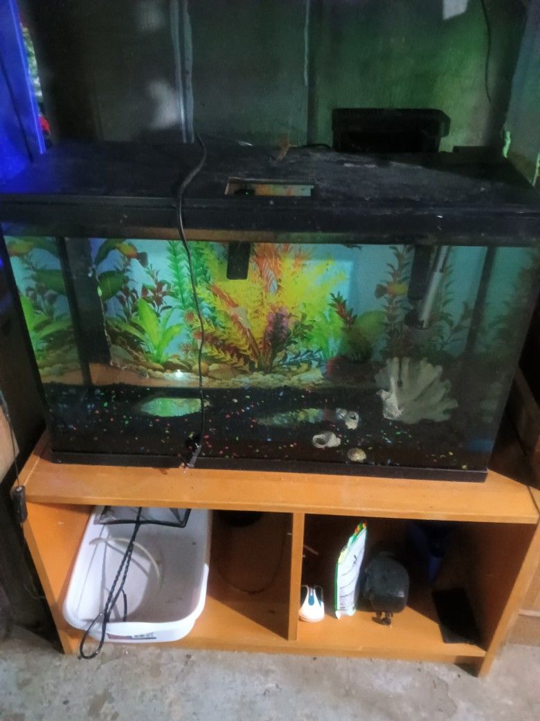 30 Gallon Fish Tank 