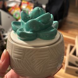 Succulent Storage Jar 