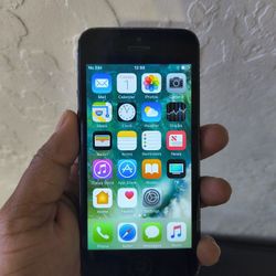 iPhone 5 (Unlocked )