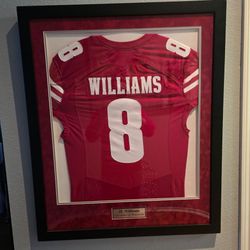 Official University of Wisconsin Framed Badgers Jersey Display (#8 Williams)